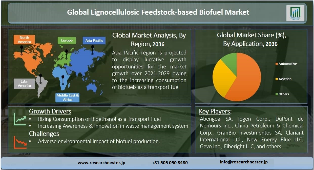 リグノセルロース系原料ベースのバイオ燃料市場